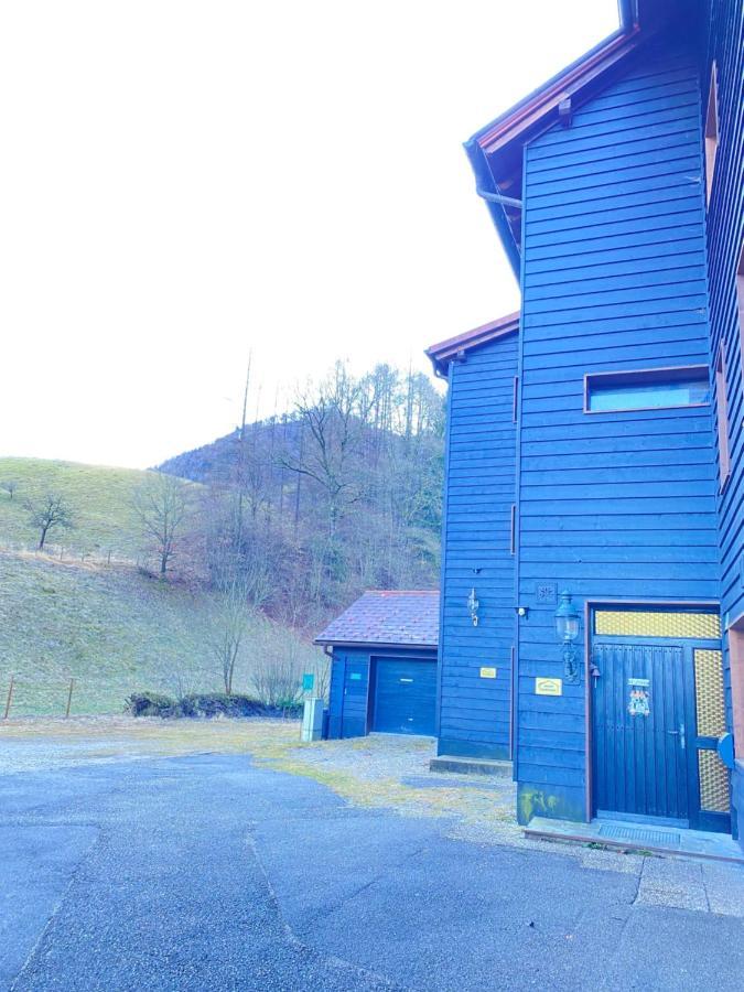 Apartments Steinwaend Gruenau im Almtal Luaran gambar